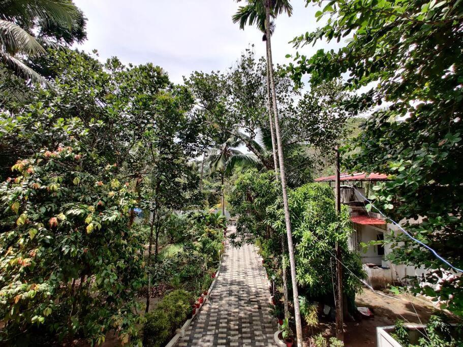 Anandam Stays - Premium 3Bhk Plush Homestay, Vaikom Near Kumarakom Екстер'єр фото